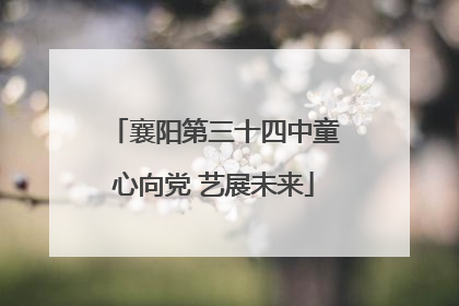 襄阳第三十四中童心向党 艺展未来