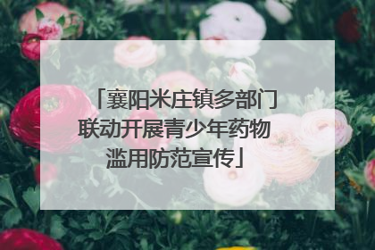 襄阳米庄镇多部门联动开展青少年药物滥用防范宣传