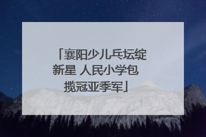 襄阳少儿乓坛绽新星 人民小学包揽冠亚季军
