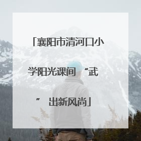 襄阳市清河口小学阳光课间 “武” 出新风尚