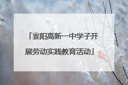 襄阳高新一中学子开展劳动实践教育活动
