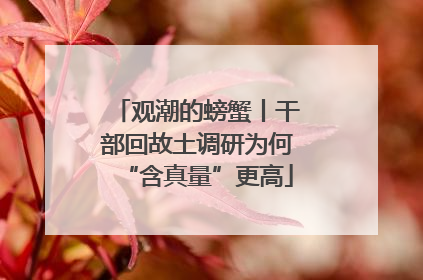 观潮的螃蟹丨干部回故土调研为何“含真量”更高