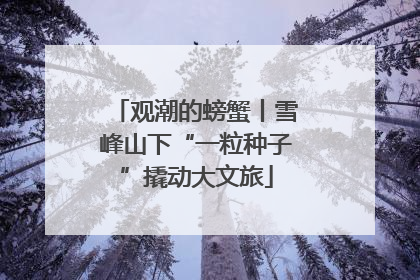 观潮的螃蟹丨雪峰山下“一粒种子”撬动大文旅