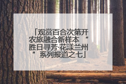 观赏百合次第开 农旅融合新样本 “胜日寻芳·花漾兰州”系列报道之七