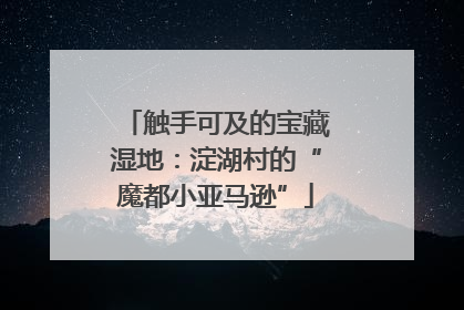 触手可及的宝藏湿地：淀湖村的“魔都小亚马逊”