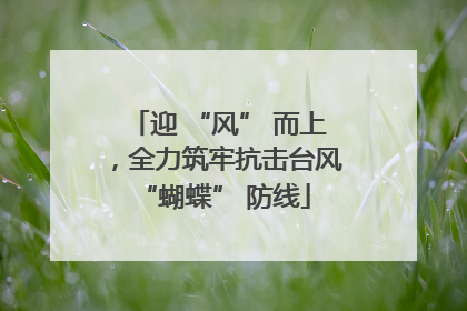 迎 “风” 而上，全力筑牢抗击台风 “蝴蝶” 防线