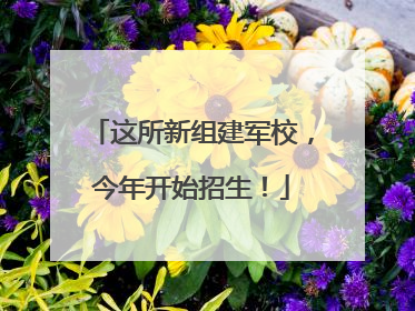 这所新组建军校，今年开始招生！