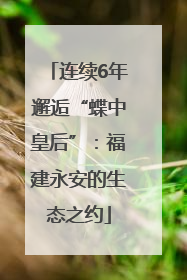 连续6年邂逅“蝶中皇后”：福建永安的生态之约