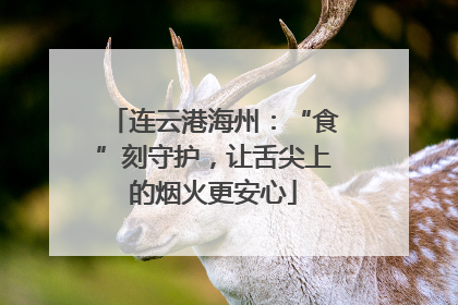 连云港海州：“食”刻守护，让舌尖上的烟火更安心