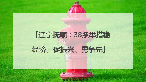 辽宁抚顺：38条举措稳经济、促振兴、勇争先