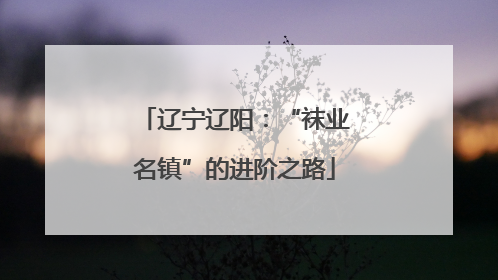 辽宁辽阳：“袜业名镇”的进阶之路