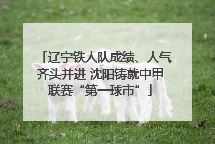 辽宁铁人队成绩、人气齐头并进 沈阳铸就中甲联赛“第一球市”