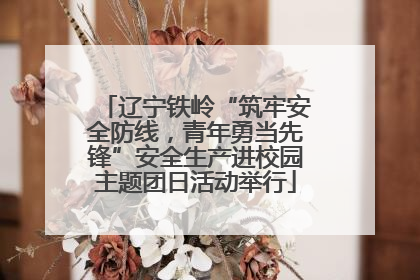 辽宁铁岭“筑牢安全防线，青年勇当先锋”安全生产进校园主题团日活动举行
