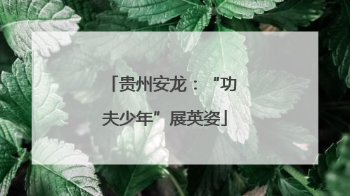 贵州安龙：“功夫少年”展英姿