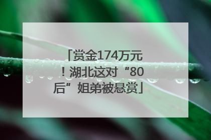 赏金174万元！湖北这对“80后”姐弟被悬赏