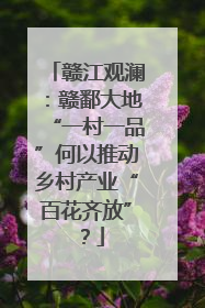 赣江观澜：赣鄱大地“一村一品”何以推动乡村产业“百花齐放”？