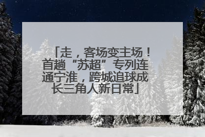 走，客场变主场！首趟“苏超”专列连通宁淮，跨城追球成长三角人新日常