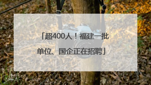 超400人！福建一批单位、国企正在招聘