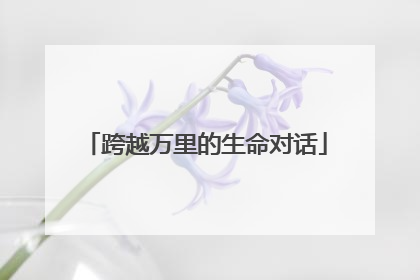 跨越万里的生命对话