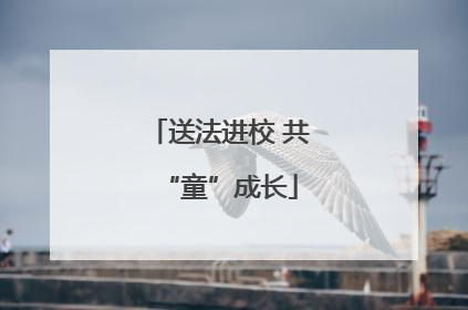 送法进校 共“童”成长