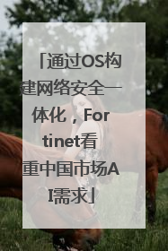 通过OS构建网络安全一体化，Fortinet看重中国市场AI需求