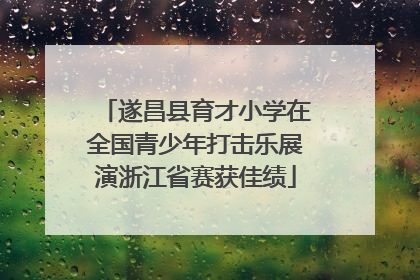 遂昌县育才小学在全国青少年打击乐展演浙江省赛获佳绩