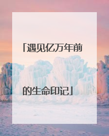 遇见亿万年前的生命印记