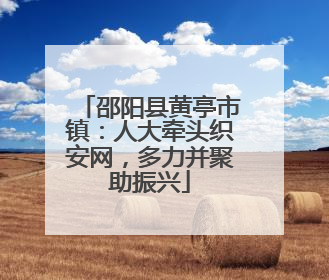 邵阳县黄亭市镇：人大牵头织安网，多力并聚助振兴
