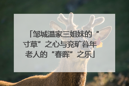 邹城温家三姐妹的“寸草”之心与兖矿暮年老人的“春晖”之乐