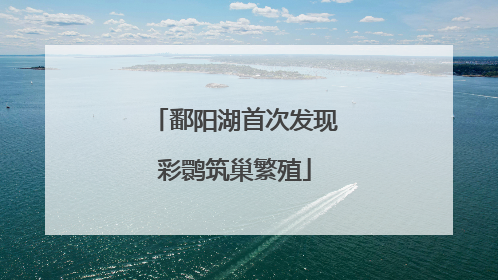 鄱阳湖首次发现彩鹮筑巢繁殖