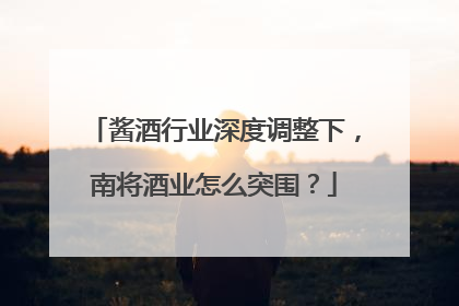 酱酒行业深度调整下，南将酒业怎么突围？