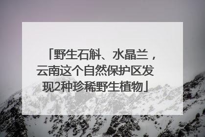 野生石斛、水晶兰，云南这个自然保护区发现2种珍稀野生植物