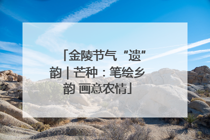 金陵节气“遗”韵｜芒种：笔绘乡韵 画意农情