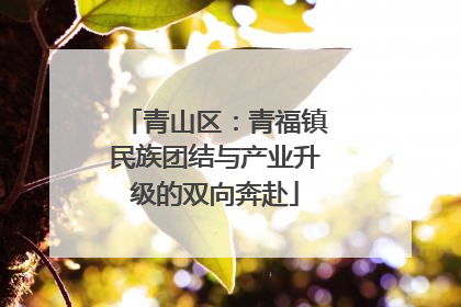 青山区：青福镇民族团结与产业升级的双向奔赴