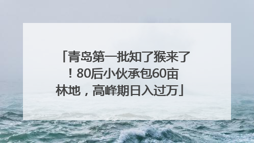 青岛第一批知了猴来了！80后小伙承包60亩林地，高峰期日入过万