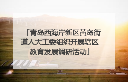 青岛西海岸新区黄岛街道人大工委组织开展辖区教育发展调研活动