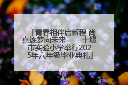 青春相伴启新程 尚真逐梦向未来——十堰市实验小学举行2025年六年级毕业典礼