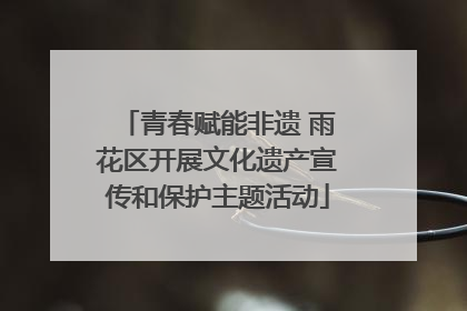 青春赋能非遗 雨花区开展文化遗产宣传和保护主题活动