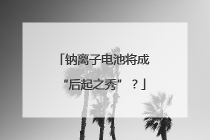 钠离子电池将成“后起之秀”？