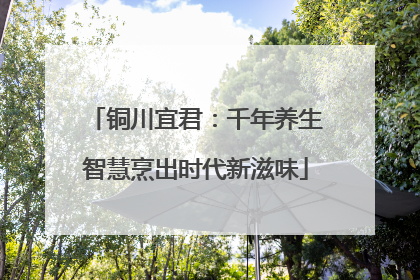 铜川宜君：千年养生智慧烹出时代新滋味