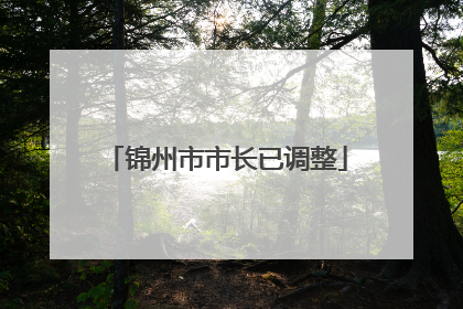 锦州市市长已调整