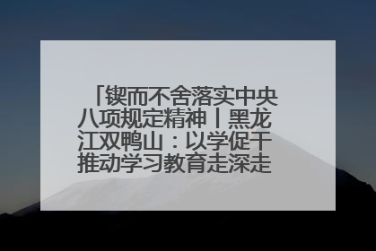 锲而不舍落实中央八项规定精神丨黑龙江双鸭山：以学促干推动学习教育走深走实 从小事入手写好“民生答卷”