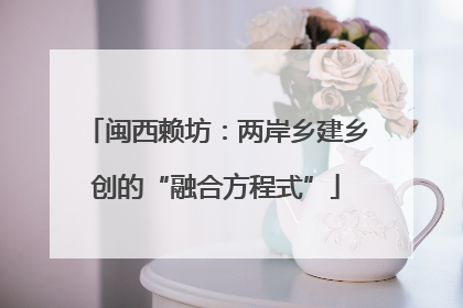 闽西赖坊：两岸乡建乡创的“融合方程式”
