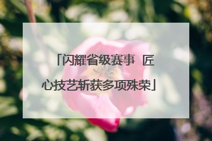 闪耀省级赛事  匠心技艺斩获多项殊荣