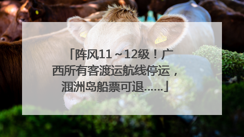 阵风11～12级！广西所有客渡运航线停运，涠洲岛船票可退……