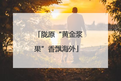 陇原“黄金浆果”香飘海外