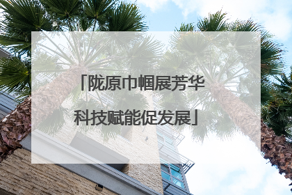 陇原巾帼展芳华 科技赋能促发展