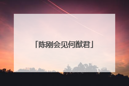 陈刚会见何猷君
