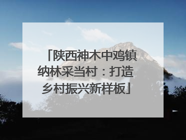 陕西神木中鸡镇纳林采当村：打造乡村振兴新样板