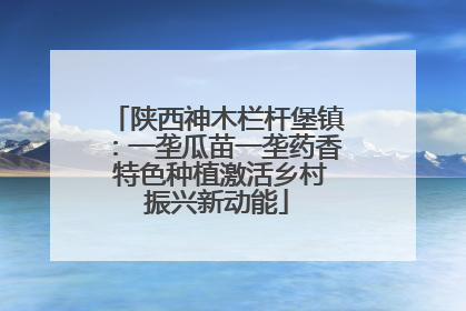 陕西神木栏杆堡镇：一垄瓜苗一垄药香 特色种植激活乡村振兴新动能